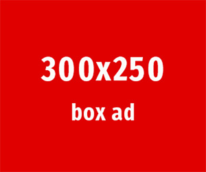 300x250-example